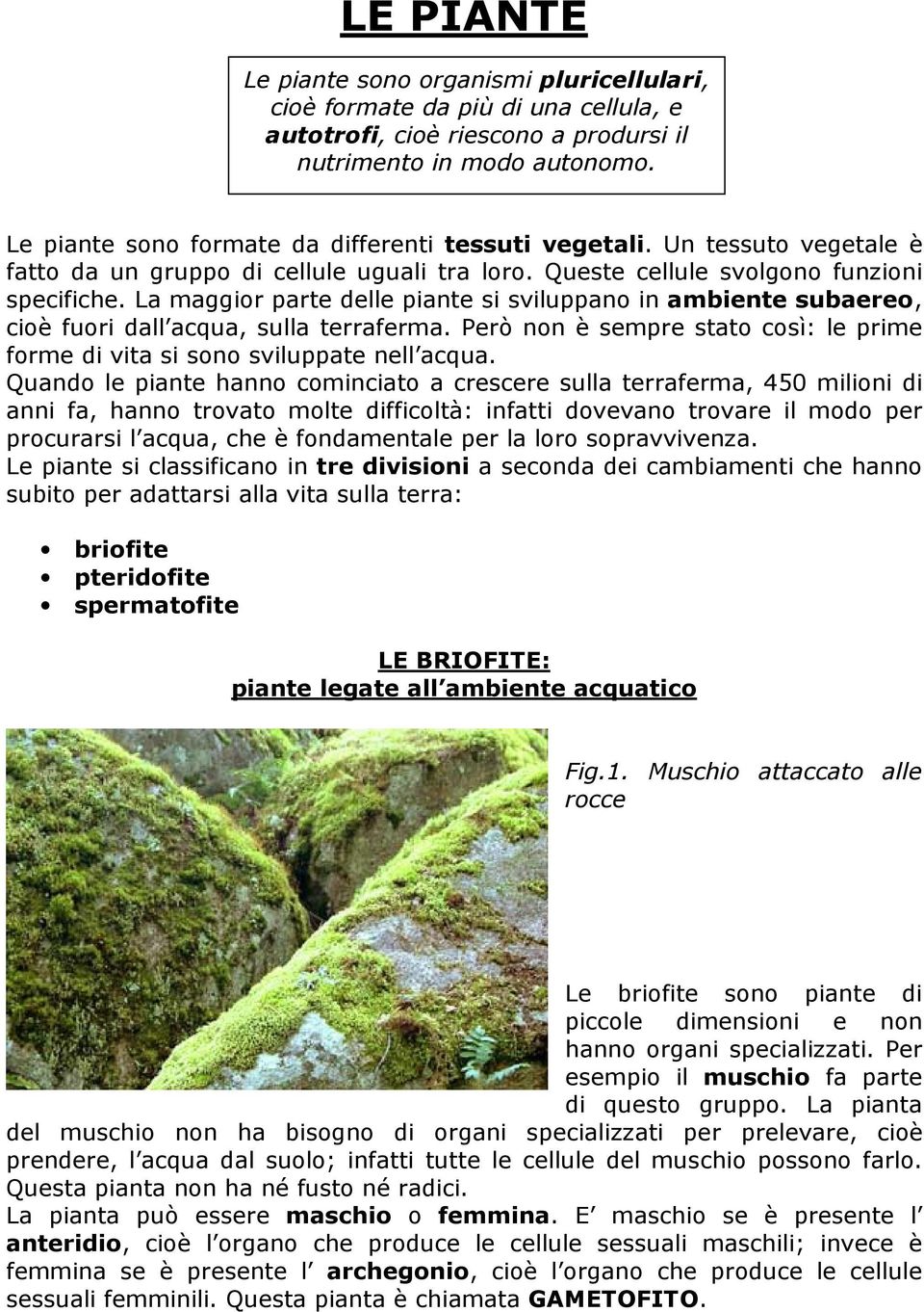 La maggior parte delle piante si sviluppano in ambiente subaereo, cioè fuori dall acqua, sulla terraferma. Però non è sempre stato così: le prime forme di vita si sono sviluppate nell acqua.