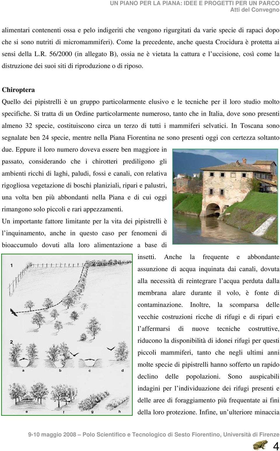 56/2000 (in allegato B), ossia ne è vietata la cattura e l uccisione, così come la distruzione dei suoi siti di riproduzione o di riposo.