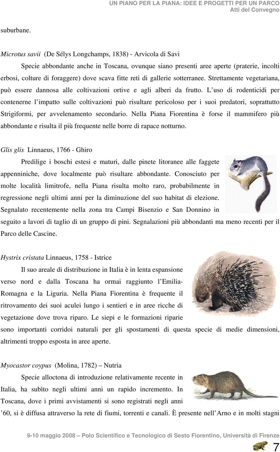 reti di gallerie sotterranee. Strettamente vegetariana, può essere dannosa alle coltivazioni ortive e agli alberi da frutto.