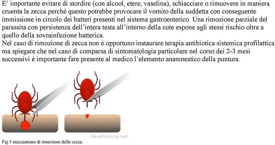 Una rimozione parziale del parassita con persistenza dell intera testa all interno della cute espone agli stessi rischio oltre a quello della sovrainfezione batterica.