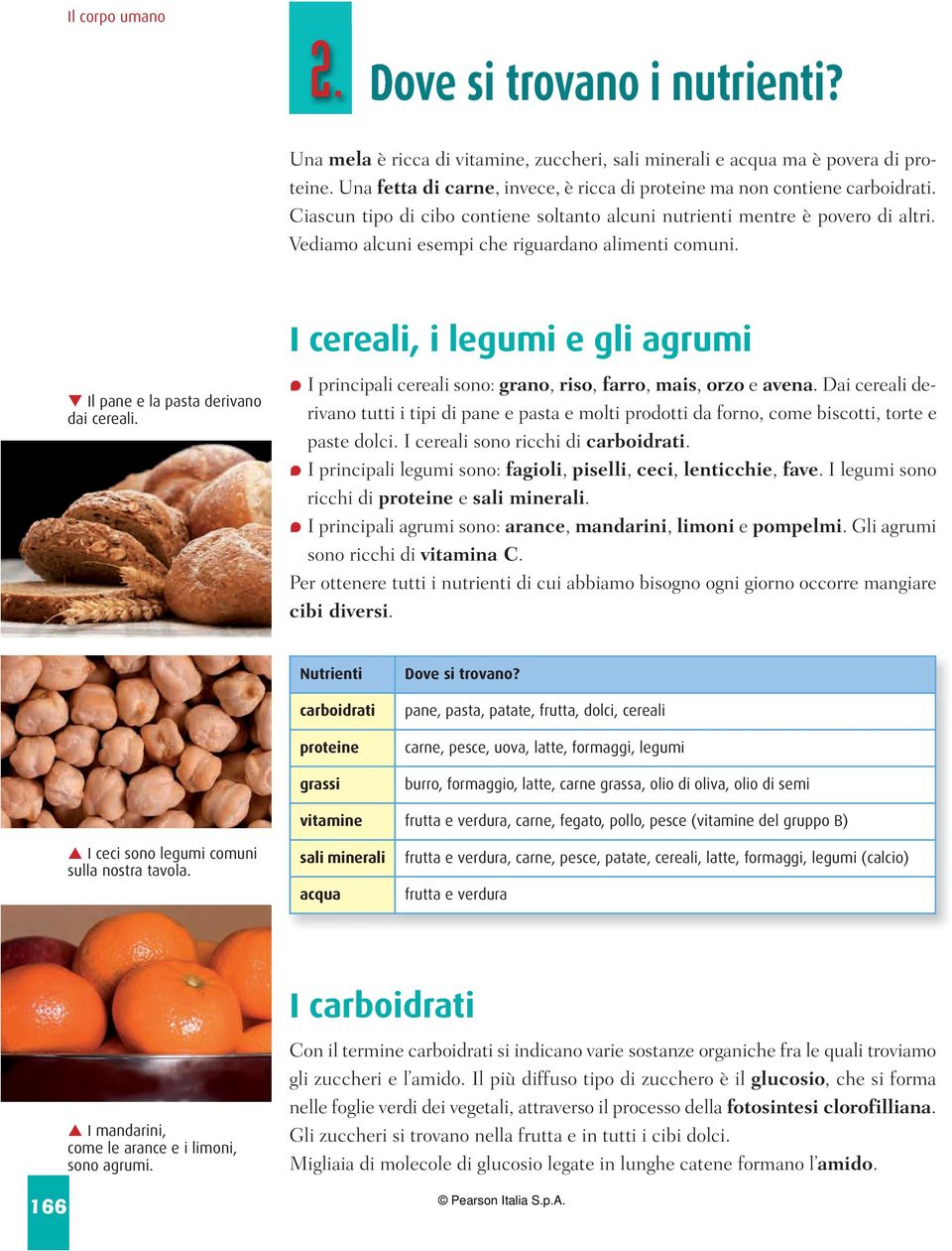 Vediamo alcuni esempi che riguardano alimenti comuni. I cereali, i legumi e gli agrumi q Il pane e la pasta derivano dai cereali. I principali cereali sono: grano, riso, farro, mais, orzo e avena.