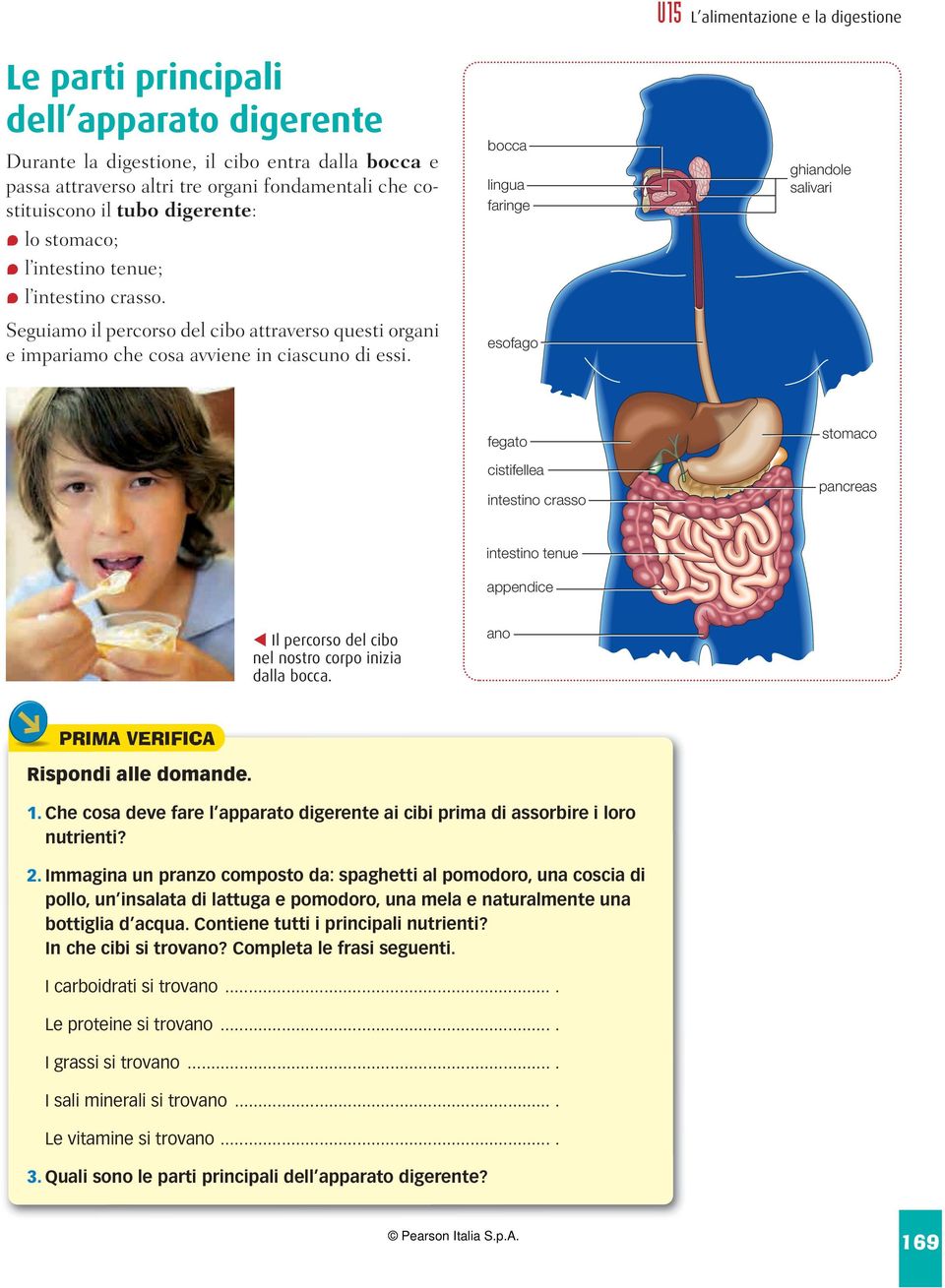 bocca lingua faringe esofago U15 L alimentazione e la digestione ghiandole salivari fegato cistifellea intestino crasso stomaco pancreas intestino tenue appendice t Il percorso del cibo nel nostro