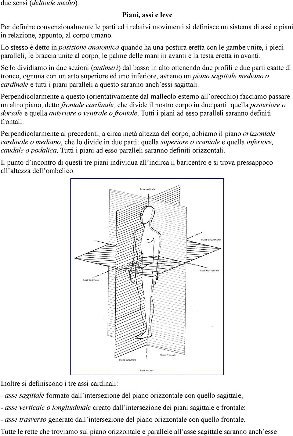 Se lo dividiamo in due sezioni (antimeri) dal basso in alto ottenendo due profili e due parti esatte di tronco, ognuna con un arto superiore ed uno inferiore, avremo un piano sagittale mediano o