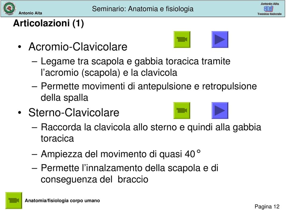 Sterno-Clavicolare Raccorda la clavicola allo sterno e quindi alla gabbia toracica Ampiezza del