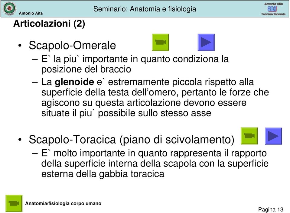 situate il piu` possibile sullo stesso asse Scapolo-Toracica (piano di scivolamento) E` molto importante in quanto rappresenta il