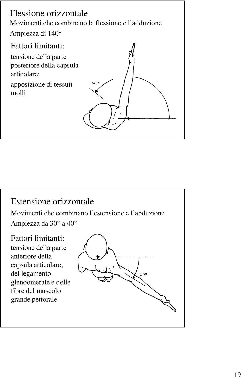 Movimenti che combinano l estensione e l abduzione Ampiezza da 30 a 40 Fattori limitanti: tensione della
