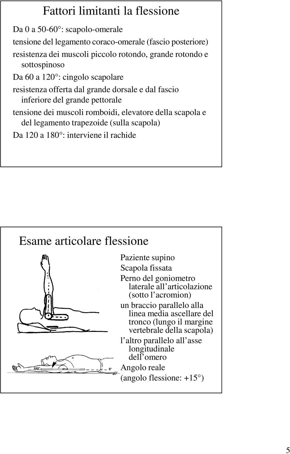 trapezoide (sulla scapola) Da 120 a 180 : interviene il rachide Esame articolare flessione Paziente supino Scapola fissata Perno del goniometro laterale all articolazione (sotto l acromion)