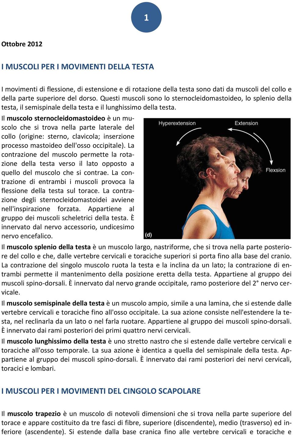 Il muscolo sternocleidomastoideo è un muscolo che si trova nella parte laterale del collo (origine: sterno, clavicola; inserzione processo mastoideo dell'osso occipitale).