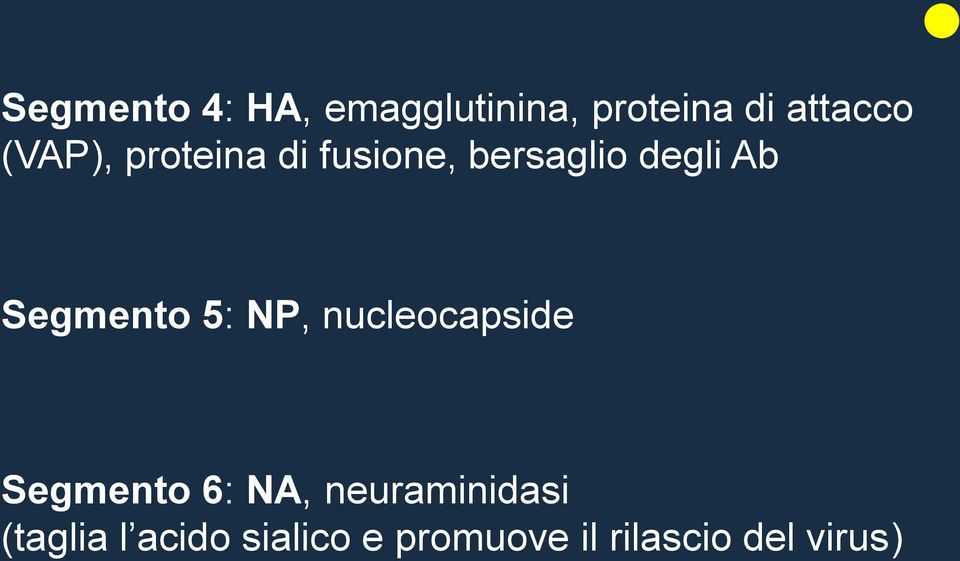 Segmento 5: NP, nucleocapside Segmento 6: NA,