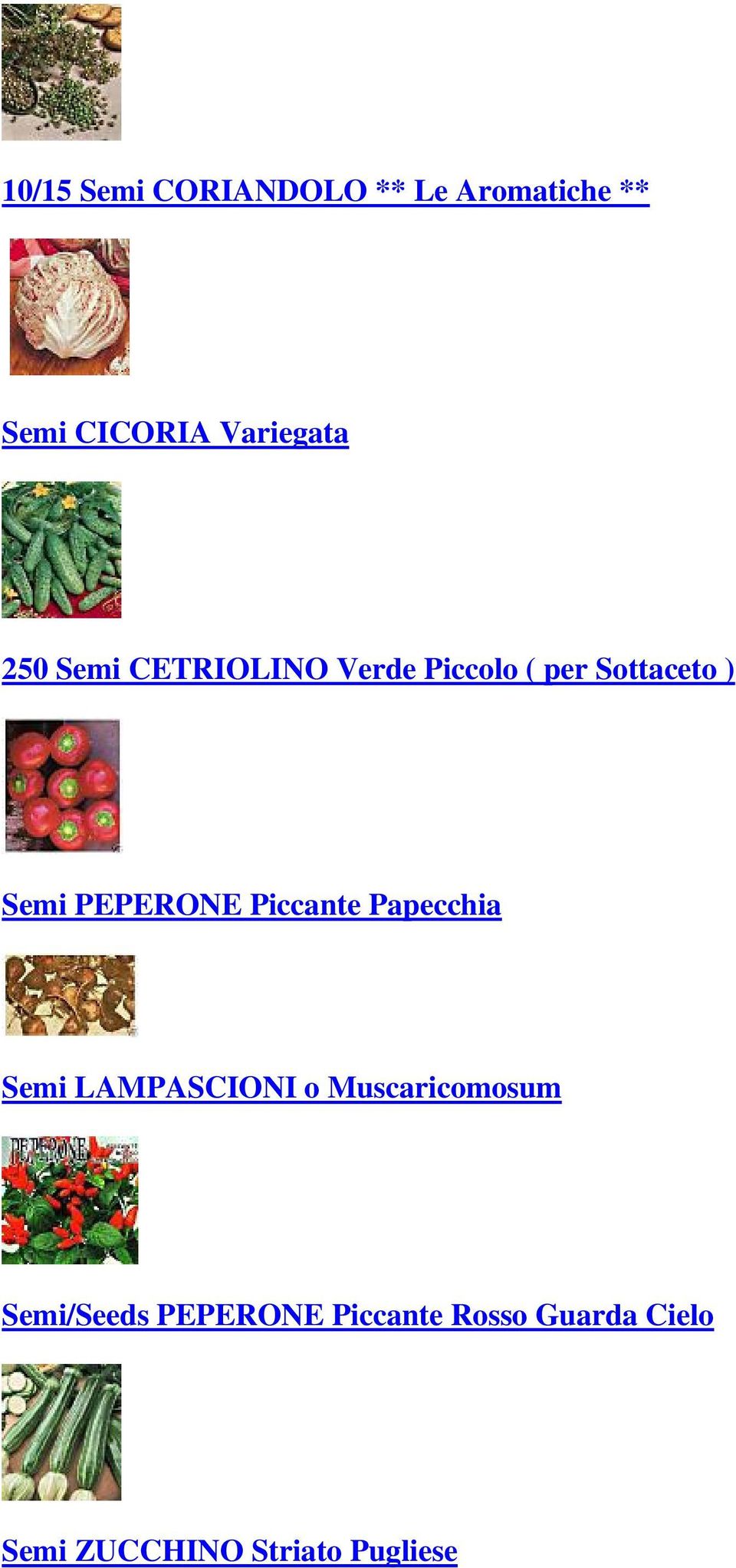 Piccante Papecchia Semi LAMPASCIONI o Muscaricomosum Semi/Seeds