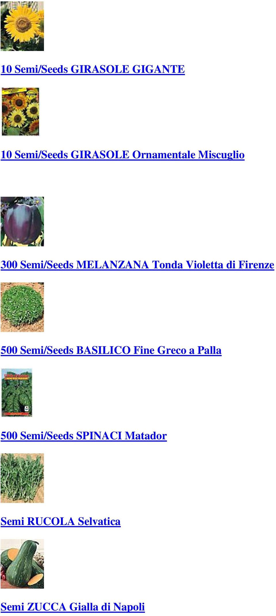 di Firenze 500 Semi/Seeds BASILICO Fine Greco a Palla 500