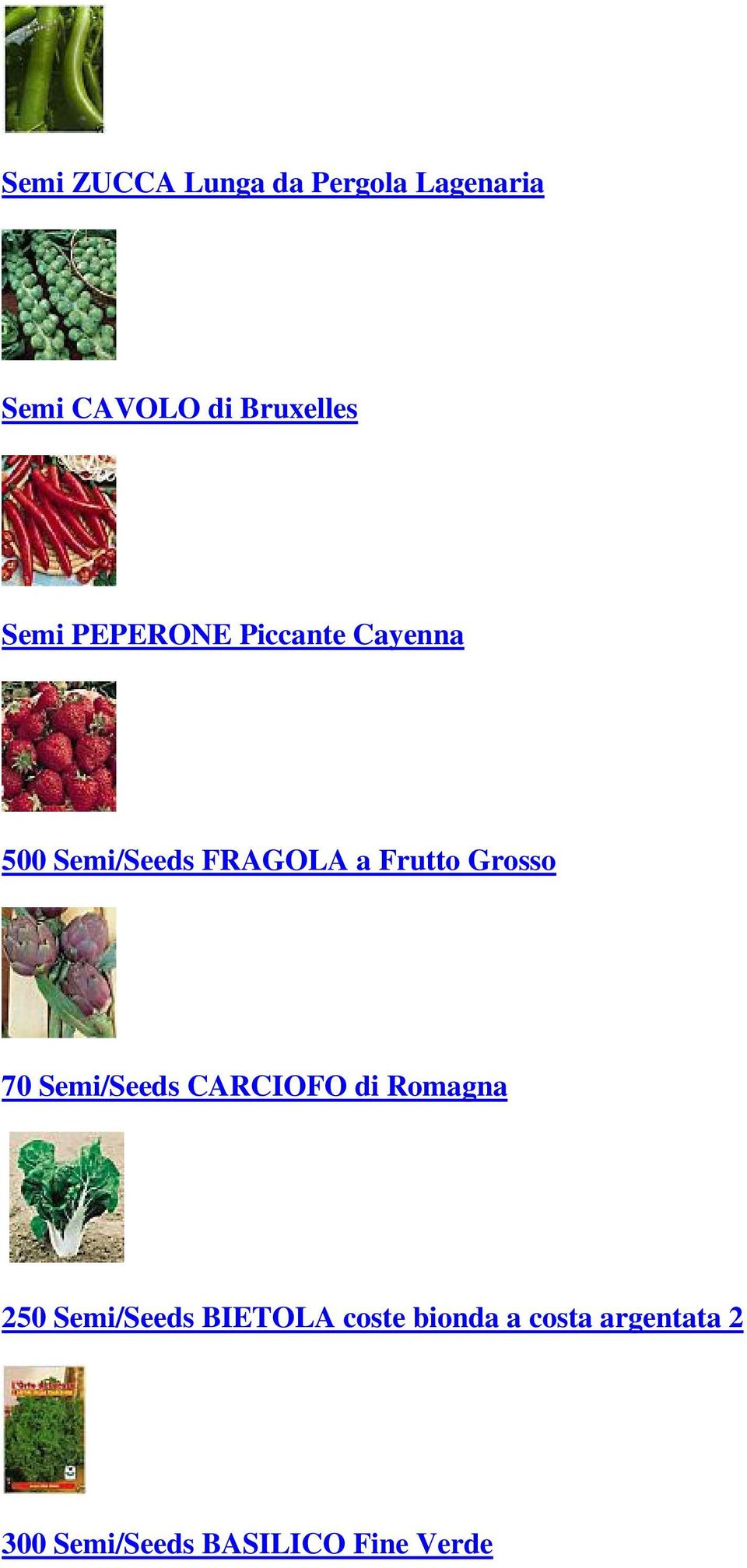 Grosso 70 Semi/Seeds CARCIOFO di Romagna 250 Semi/Seeds BIETOLA