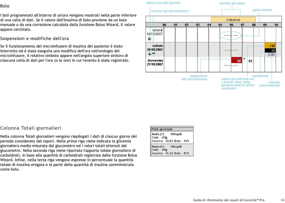 giorno con dati parziali ricarica del microinfusore periodo del pasto pasto omesso Sospensioni e modifiche dell'ora Se il funzionamento del microinfusore di insulina del paziente è stato interrotto