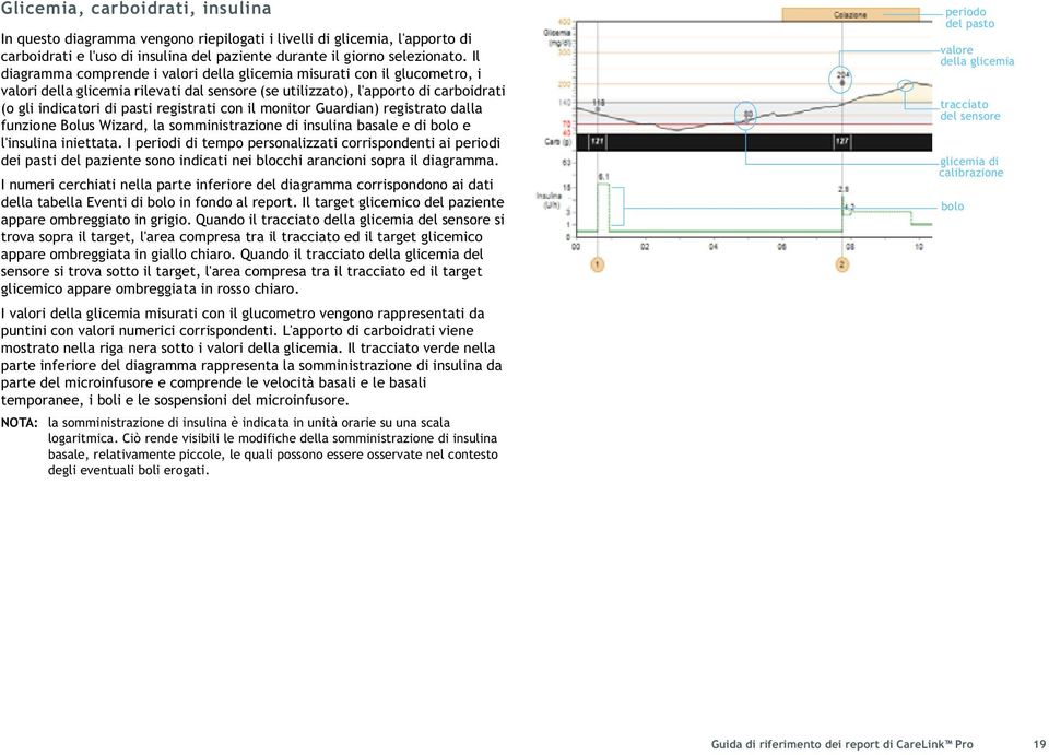 con il monitor Guardian) registrato dalla funzione Bolus Wizard, la somministrazione di insulina basale e di bolo e l'insulina iniettata.