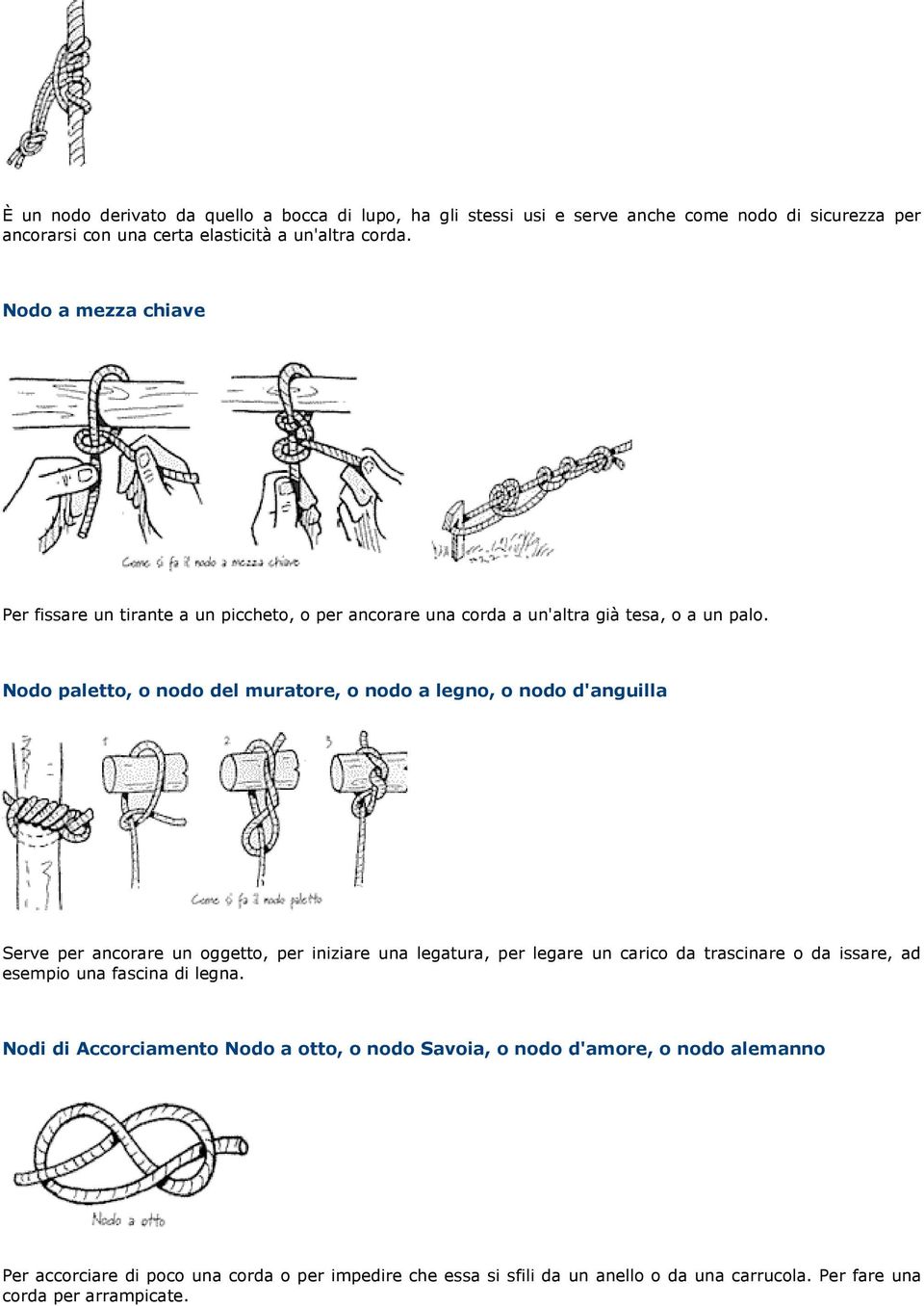 Nodo paletto, o nodo del muratore, o nodo a legno, o nodo d'anguilla Serve per ancorare un oggetto, per iniziare una legatura, per legare un carico da trascinare o da issare,