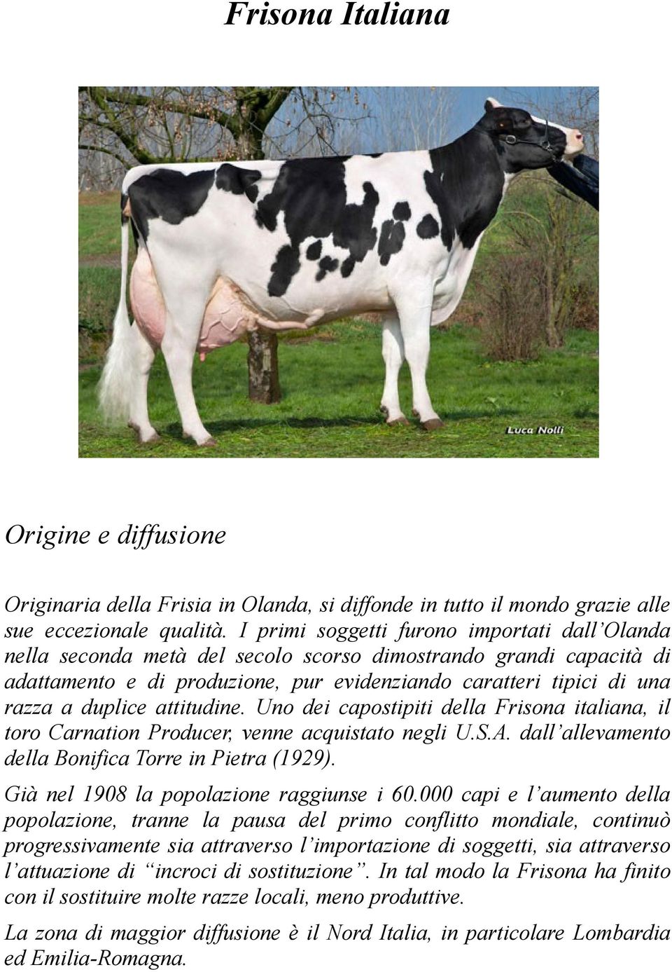 attitudine. Uno dei capostipiti della Frisona italiana, il toro Carnation Producer, venne acquistato negli U.S.A. dall allevamento della Bonifica Torre in Pietra (1929).