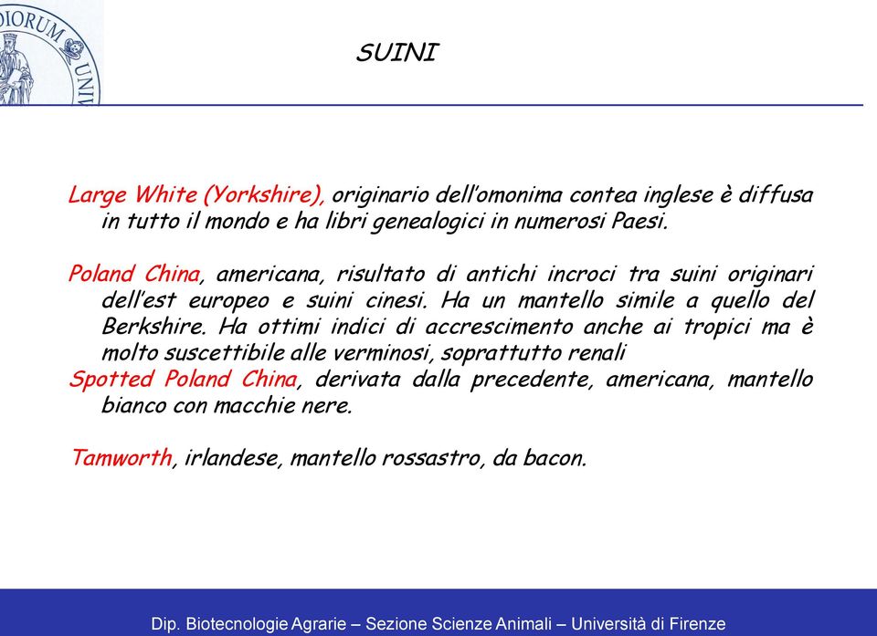 Ha un mantello simile a quello del Berkshire.