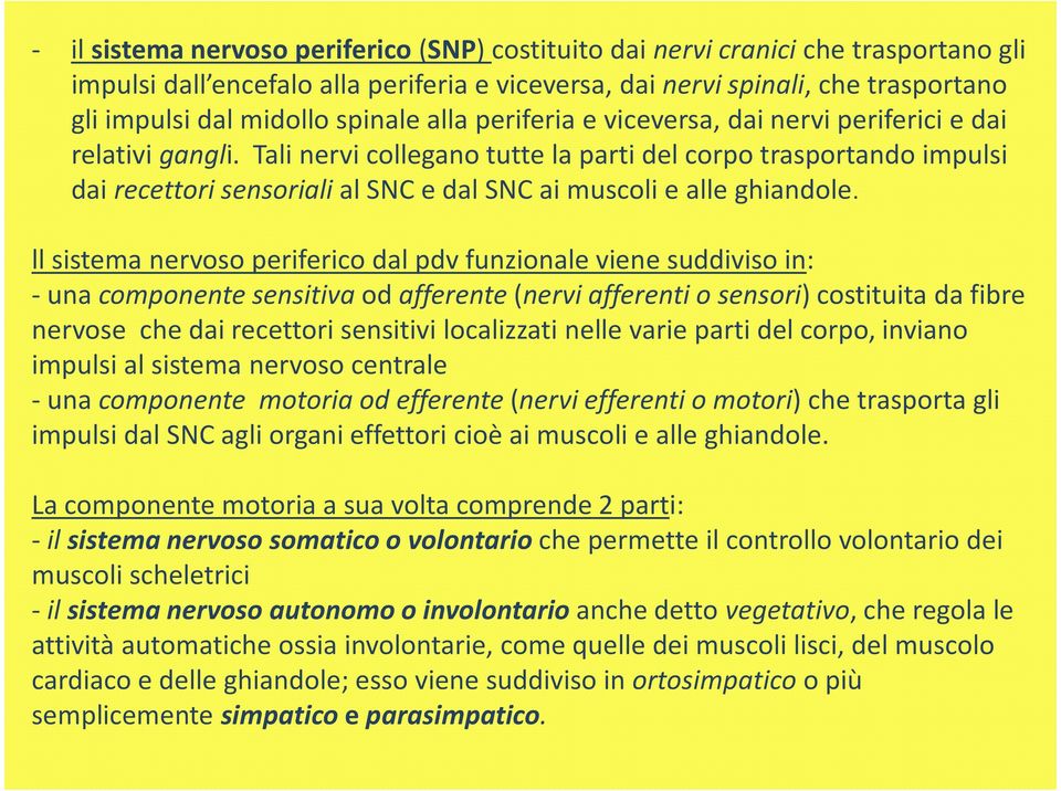 Tali nervi collegano tutte la parti del corpo trasportando impulsi dai recettori sensoriali al SNC e dal SNC ai muscoli e alle ghiandole.