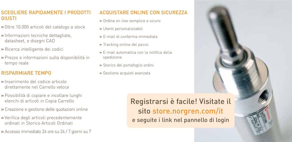 TEMPO» Inserimento del codice articolo direttamente nel Carrello veloce» Possibilità di copiare e incollare lunghi elenchi di articoli in Copia Carrello» Creazione e gestione delle quotazioni online»