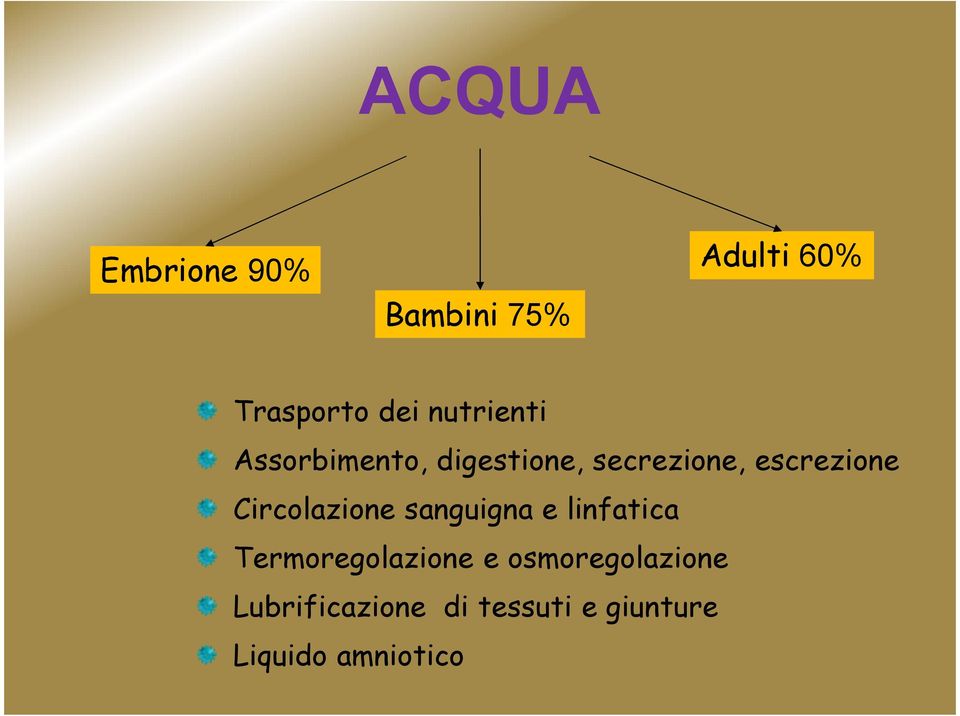 Circolazione sanguigna e linfatica Termoregolazione e