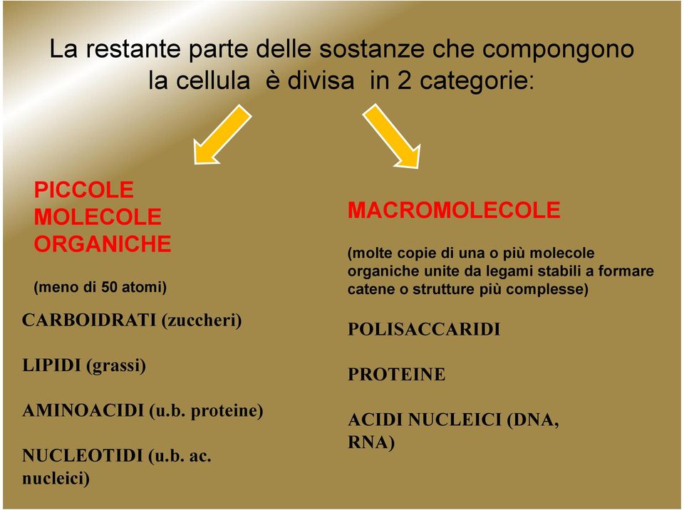 proteine) NUCLEOTIDI (u.b. ac.