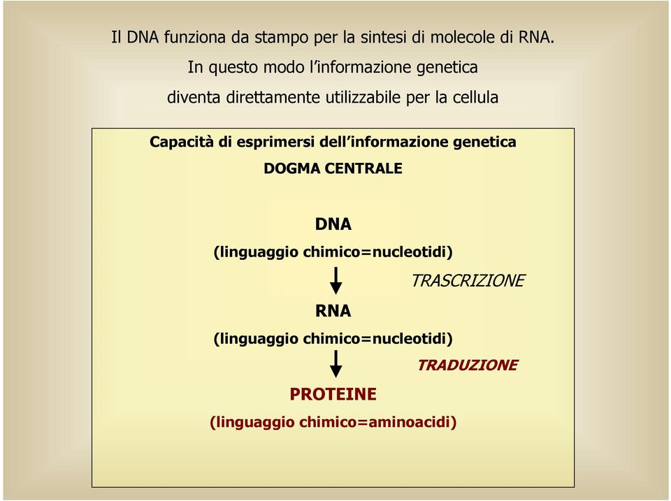 Capacità di esprimersi dell informazione genetica DOGMA CENTRALE DNA (linguaggio