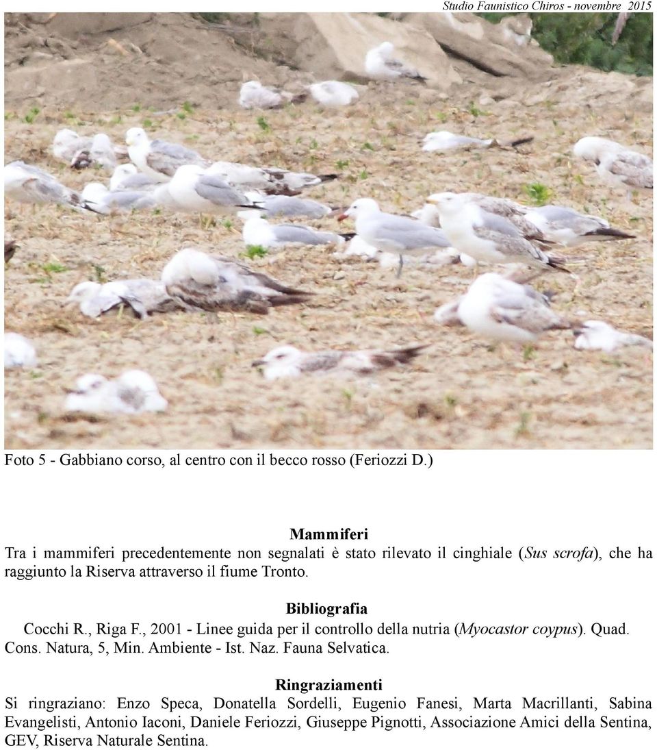 Bibliografia Cocchi R., Riga F., 00 - Linee guida per il controllo della nutria (Myocastor coypus). Quad. Cons. Natura, 5, Min. Ambiente - Ist. Naz. Fauna Selvatica.