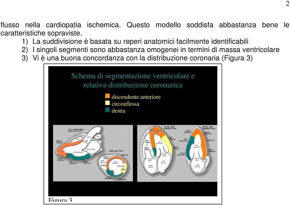 omogenei in termini di massa ventricolare 3) Vi è una buona concordanza con la distribuzione coronaria (Figura 3)