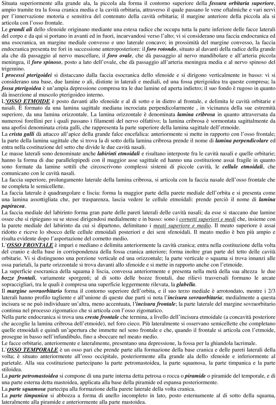 Le grandi ali dello sfenoide originano mediante una estesa radice che occupa tutta la parte inferiore delle facce laterali del corpo e da qui si portano in avanti ed in fuori, incurvandosi verso l