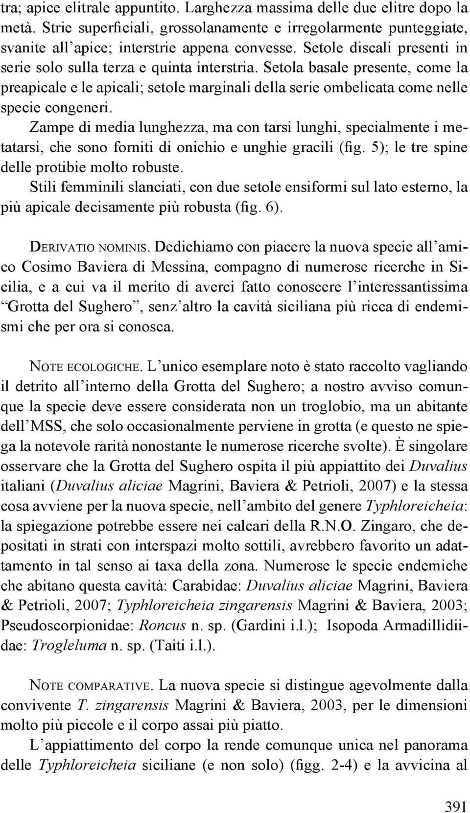 Zampe di media lunghezza, ma con tarsi lunghi, specialmente i metatarsi, che sono forniti di onichio e unghie gracili (fig. 5); le tre spine delle protibie molto robuste.