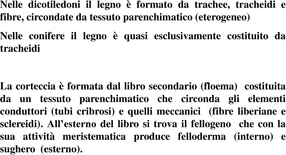 da un tessuto parenchimatico che circonda gli elementi conduttori (tubi cribrosi) e quelli meccanici (fibre liberiane e