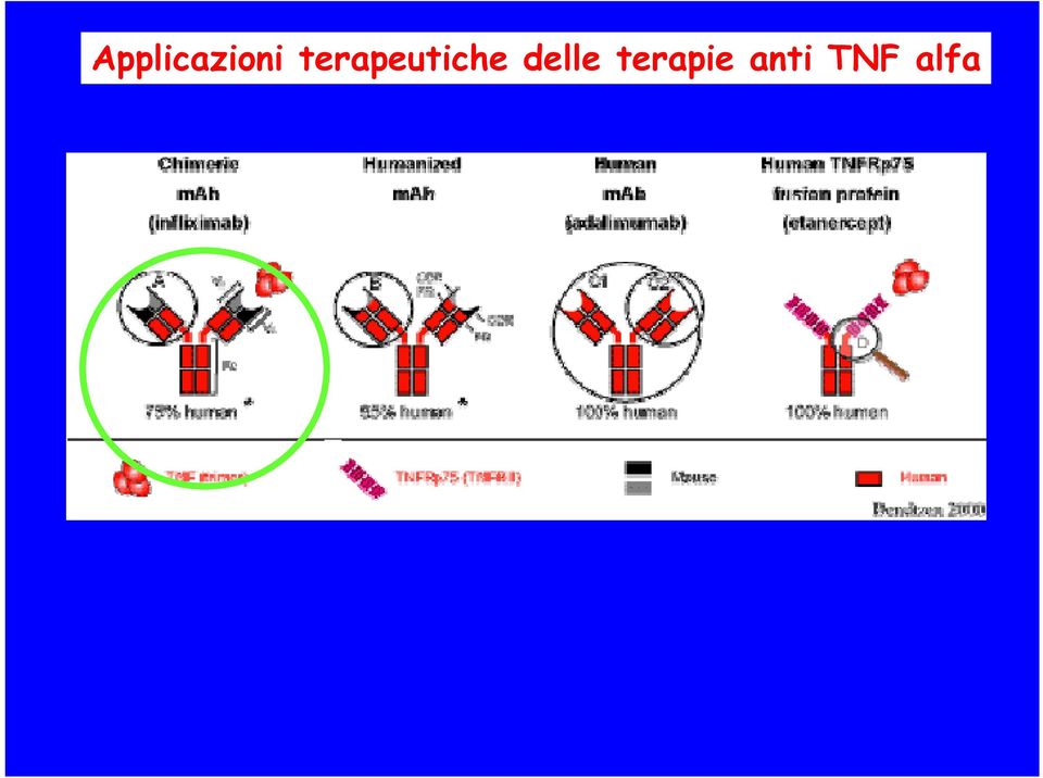 -Malattia infiammatoria cronica intestinale