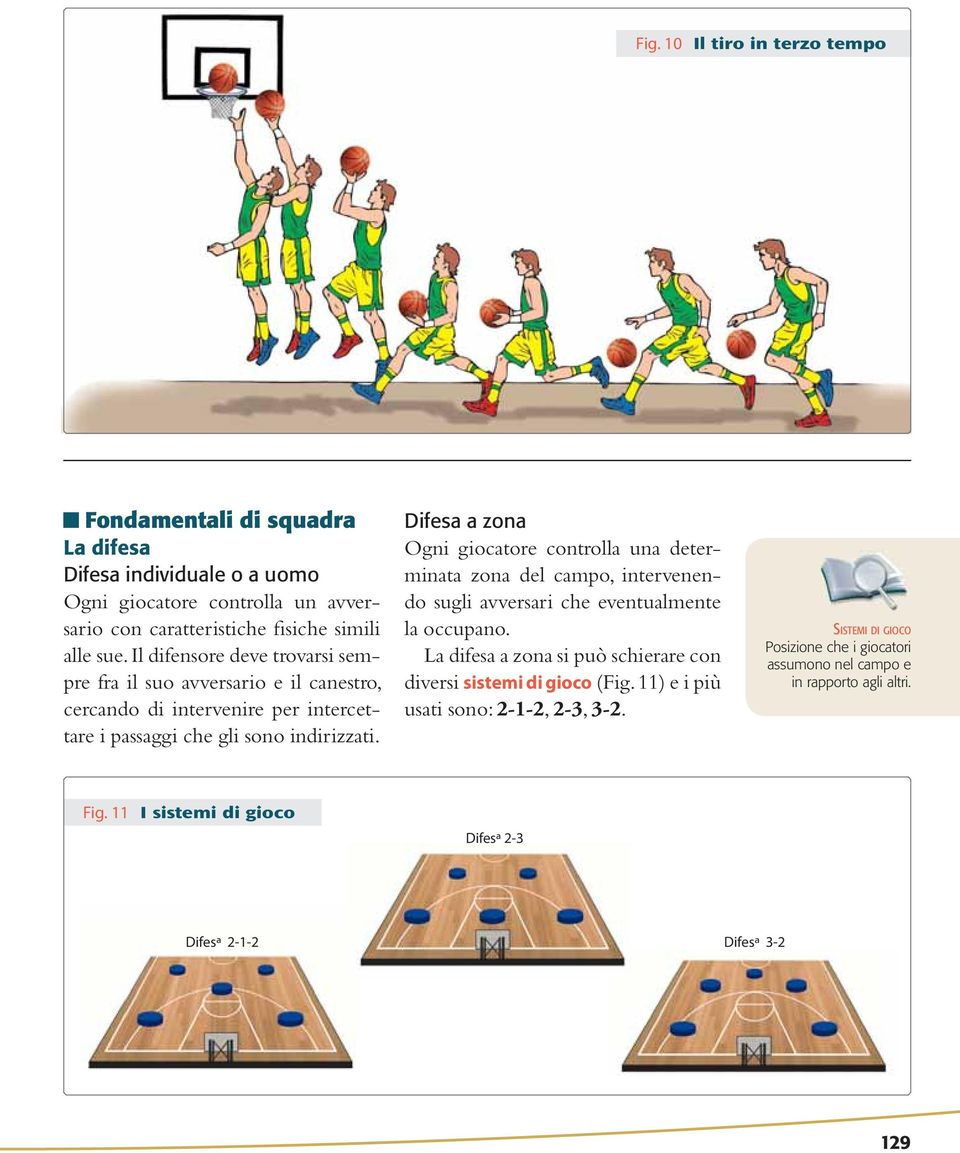 La Pallacanestro Superficie Di Gioco Pdf Free Download