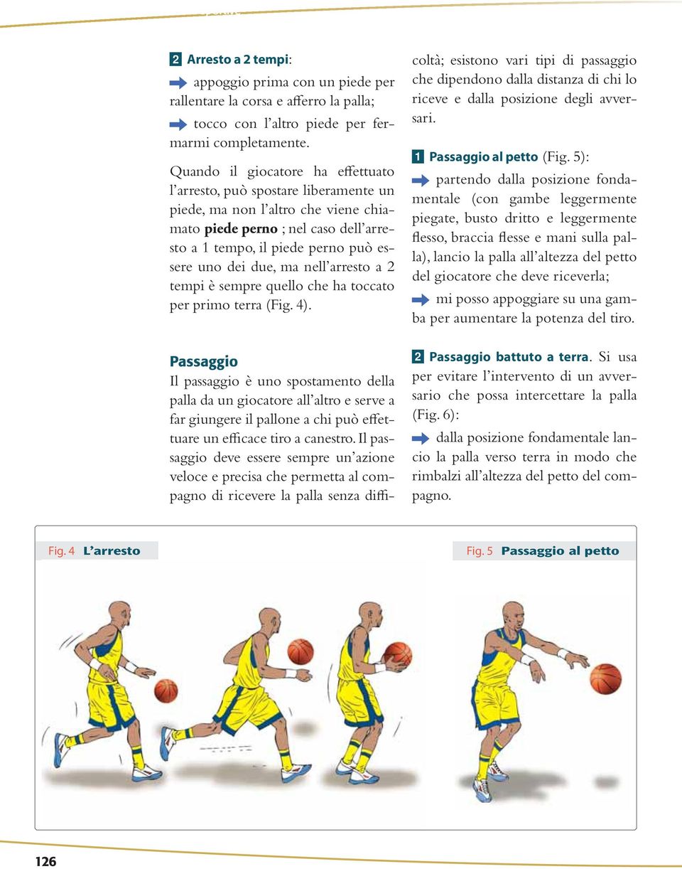 La Pallacanestro Superficie Di Gioco Pdf Free Download