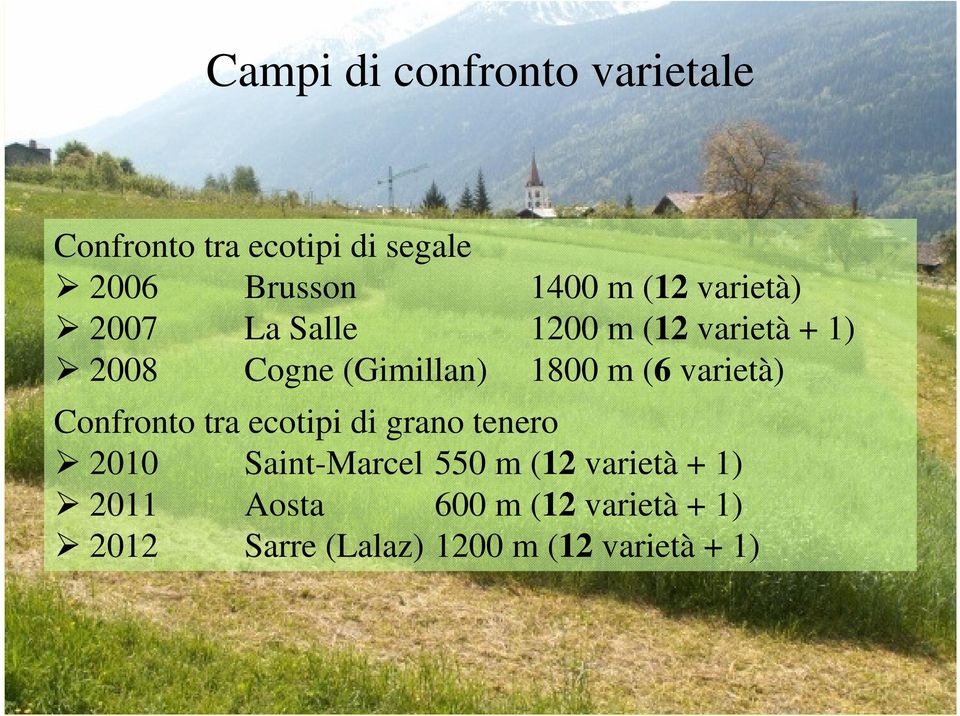 (6 varietà) Confronto tra ecotipi di grano tenero 2010 Saint-Marcel 550 m (12