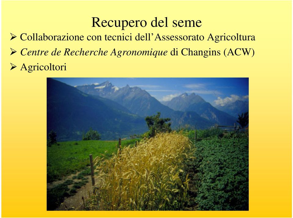 Agricoltura Centre de Recherche