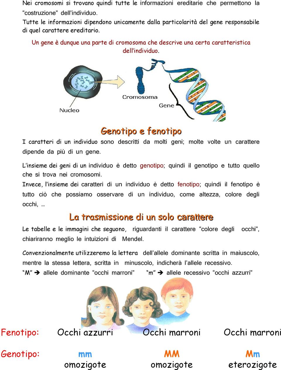 Un gene è dunque una parte di cromosoma che descrive una certa caratteristica dell individuo.