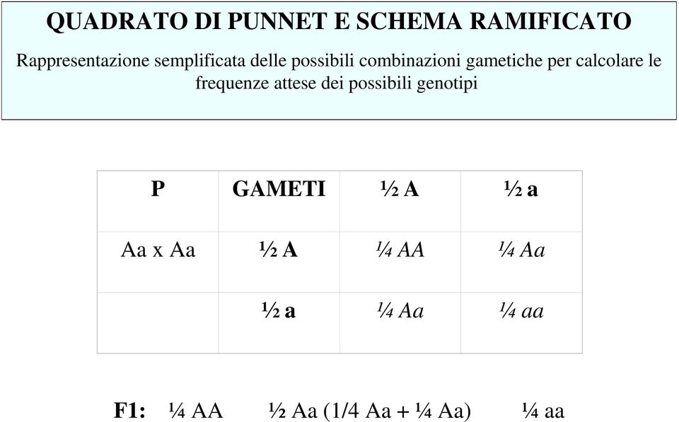 calcolare le frequenze attese dei possibili genotipi P GAMETI