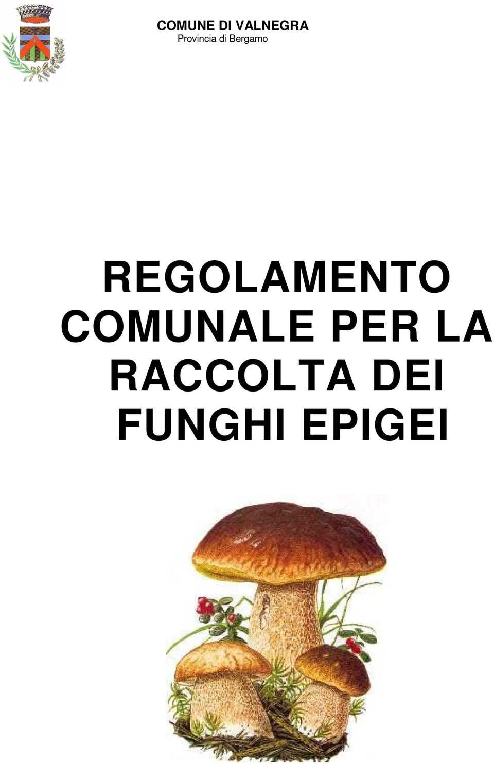 REGOLAMENTO COMUNALE