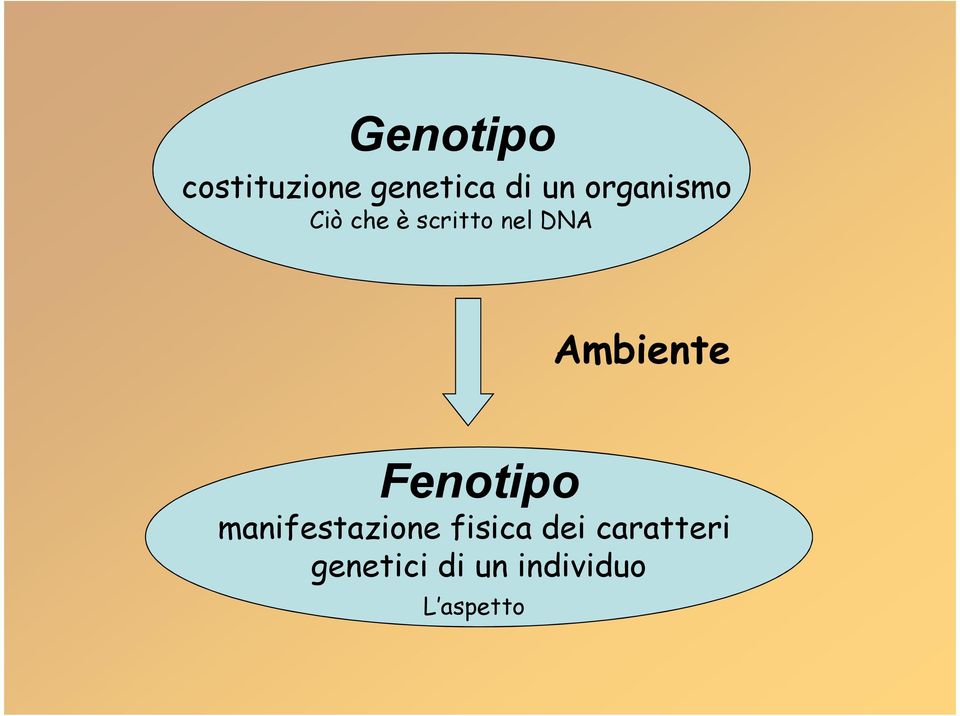 Ambiente Fenotipo manifestazione fisica