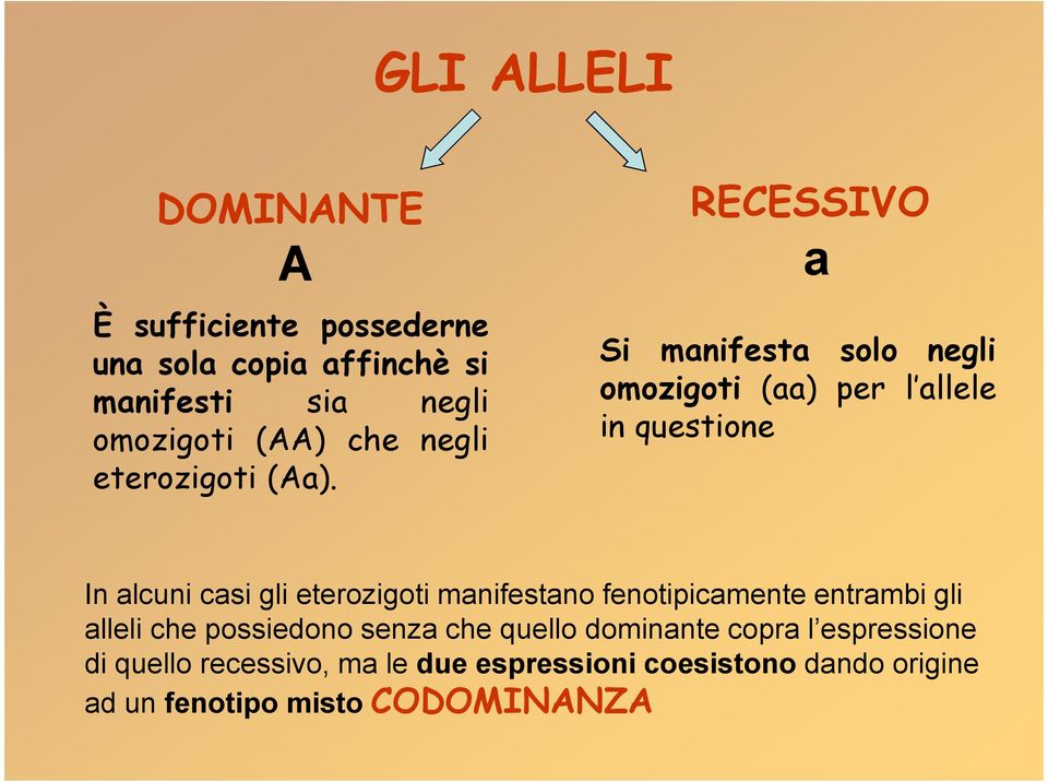 RECESSIVO a Si manifesta solo negli omozigoti (aa) per l allele in questione In alcuni casi gli eterozigoti