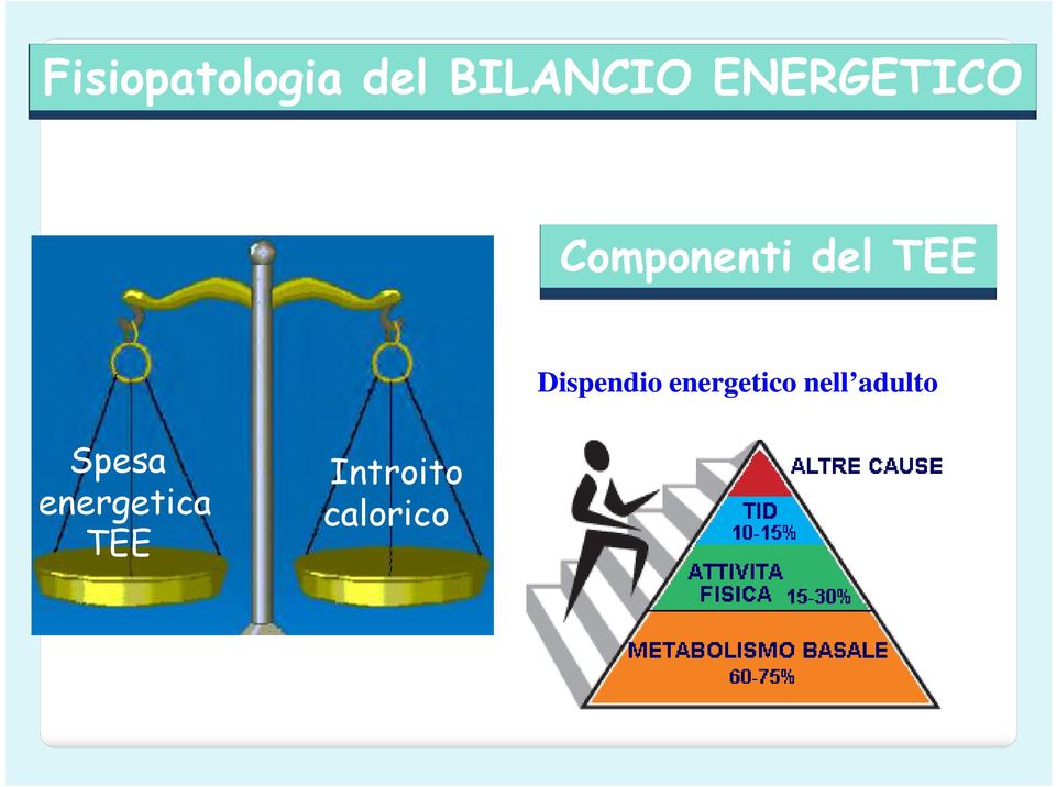 Dispendio energetico nell adulto