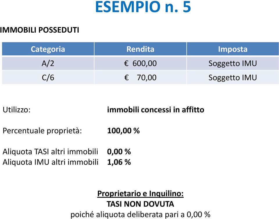 Utilizzo: immobili concessi in affitto Percentuale proprietà: 100,00 %