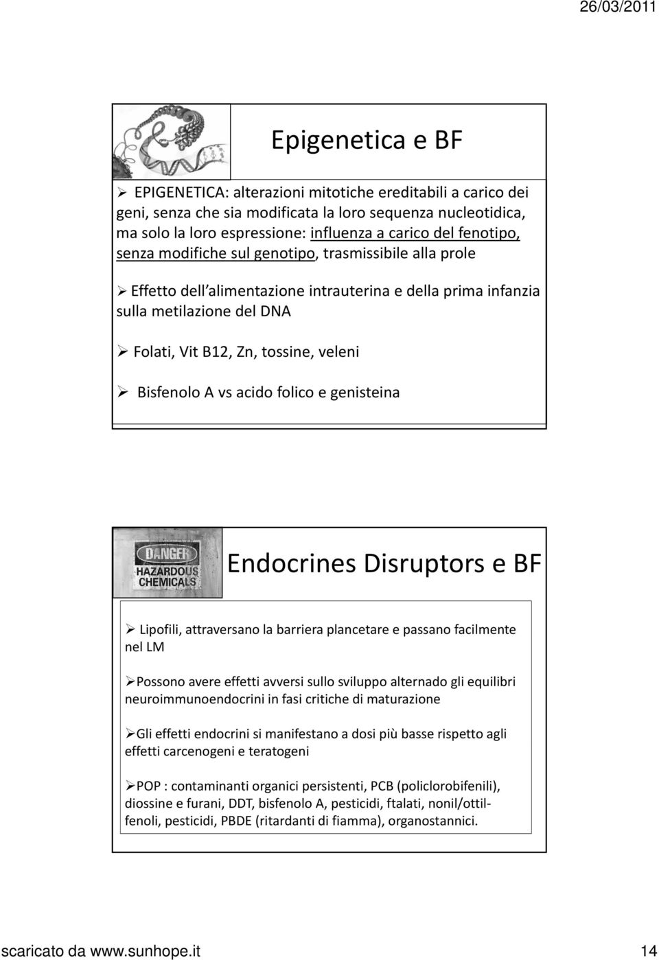 Bisfenolo A vs acido folico e genisteina Endocrines Disruptors e BF Lipofili, attraversano la barriera plancetare e passano facilmente nel LM Possono avere effetti avversi sullo sviluppo alternado
