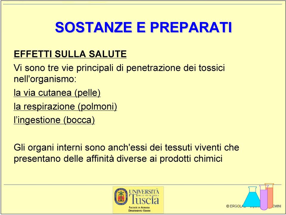 respirazione (polmoni) l ingestione (bocca) Gli organi interni sono