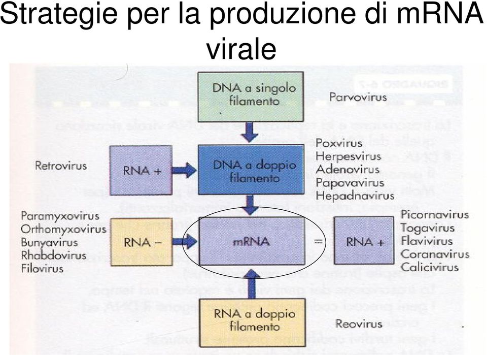 produzione