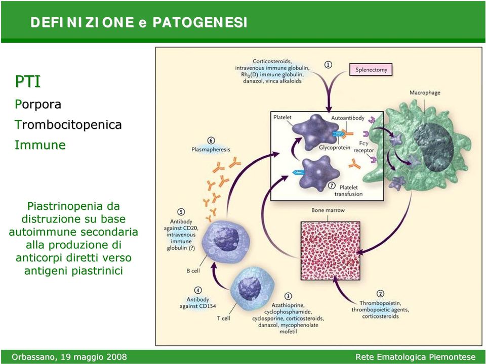 distruzione su base autoimmune secondaria