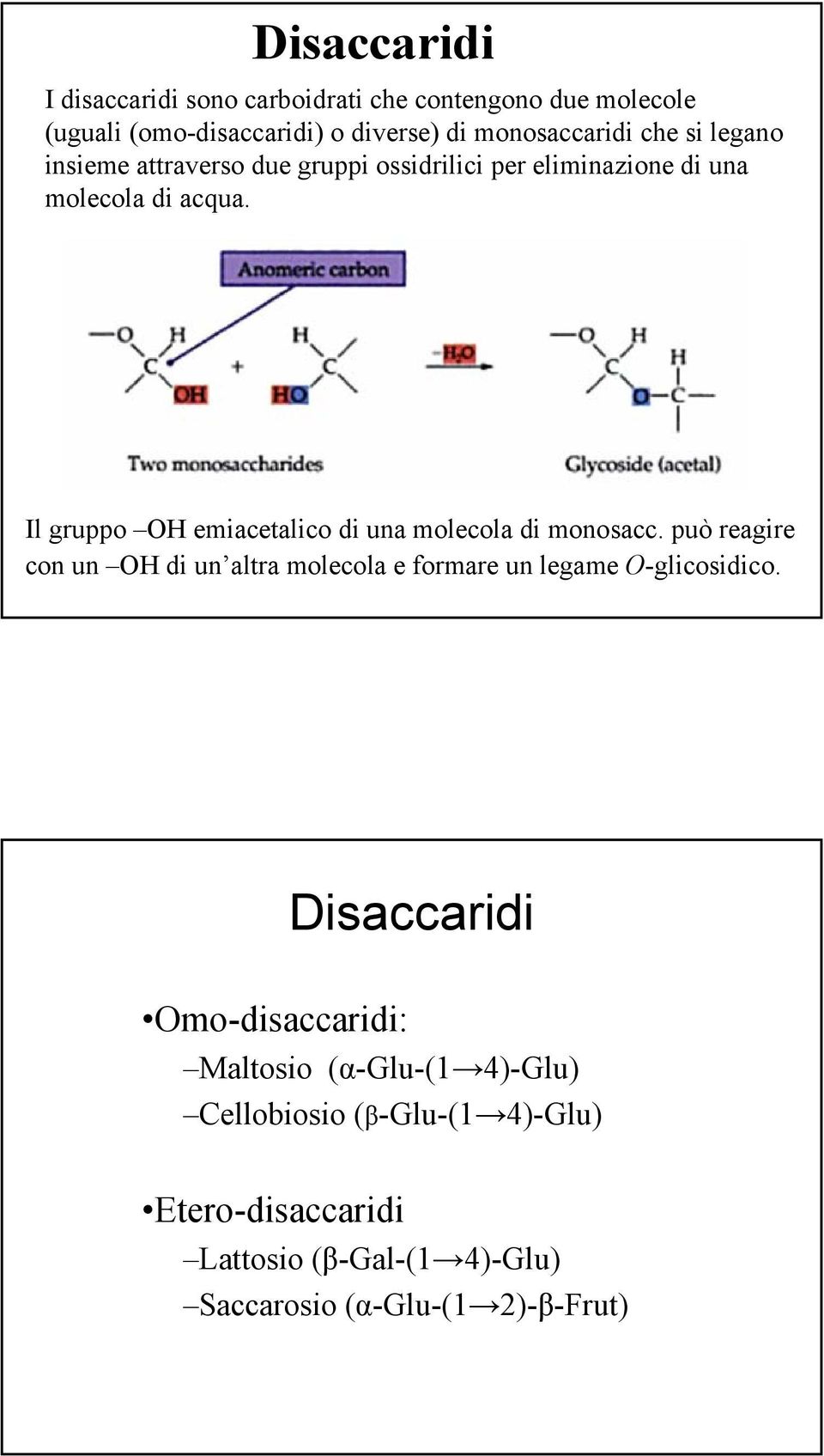 Il gruppo emiacetalico di una molecola di monosacc. può reagire con un di un altra molecola e formare un legame -glicosidico.