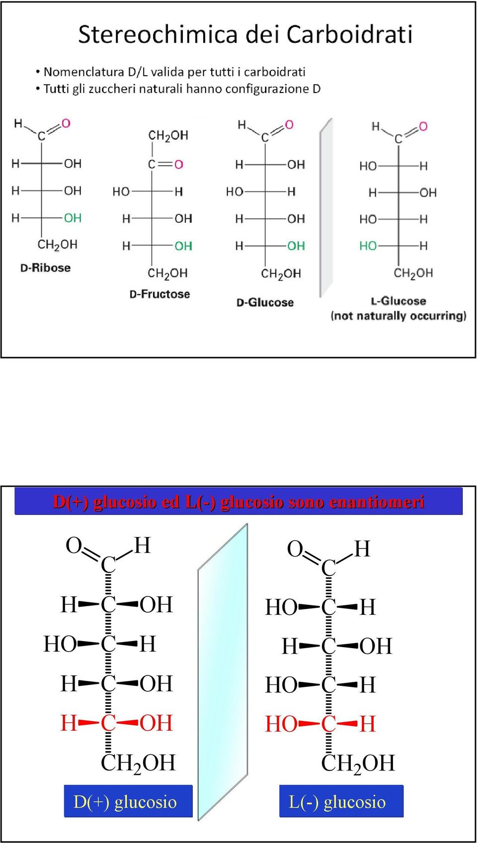 enantiomeri 2 2 D(+)