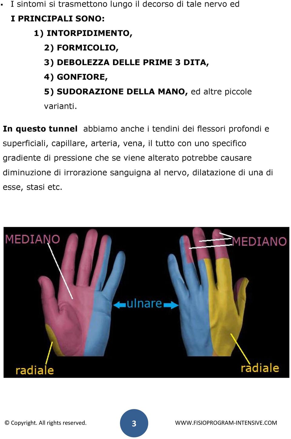 In questo tunnel abbiamo anche i tendini dei flessori profondi e superficiali, capillare, arteria, vena, il tutto con uno specifico